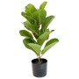 Fikus dębolistny w doniczce sztuczny - 55 cm