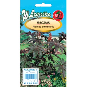 Opakowanie nasion ozdobnej rośliny rącznika pospolitego (Ricinus communis).