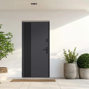 Nowoczesne szare drzwi zewnętrzne z pionowymi listwami i roślinami w doniczkach na tle białej ściany.