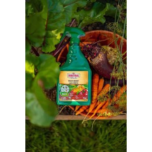 Substral Multi-Insect środek na szkodniki w ogrodzie z warzywami.