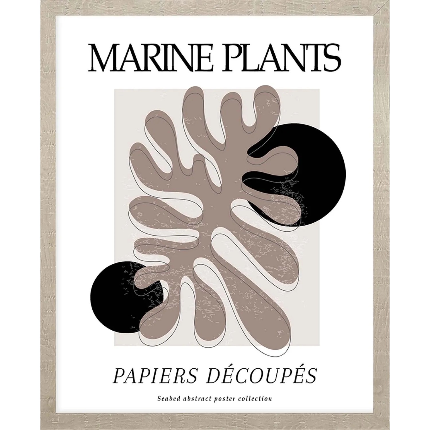 ARS LONGA Obraz MARINE PASTEL PLANTS 43 x 53 cm
