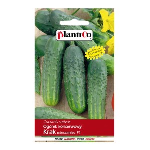 Opakowanie nasion ogórka konserwowego 'Krak', idealne na przetwory.