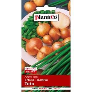 Cebula szalotka Toto - 3 g