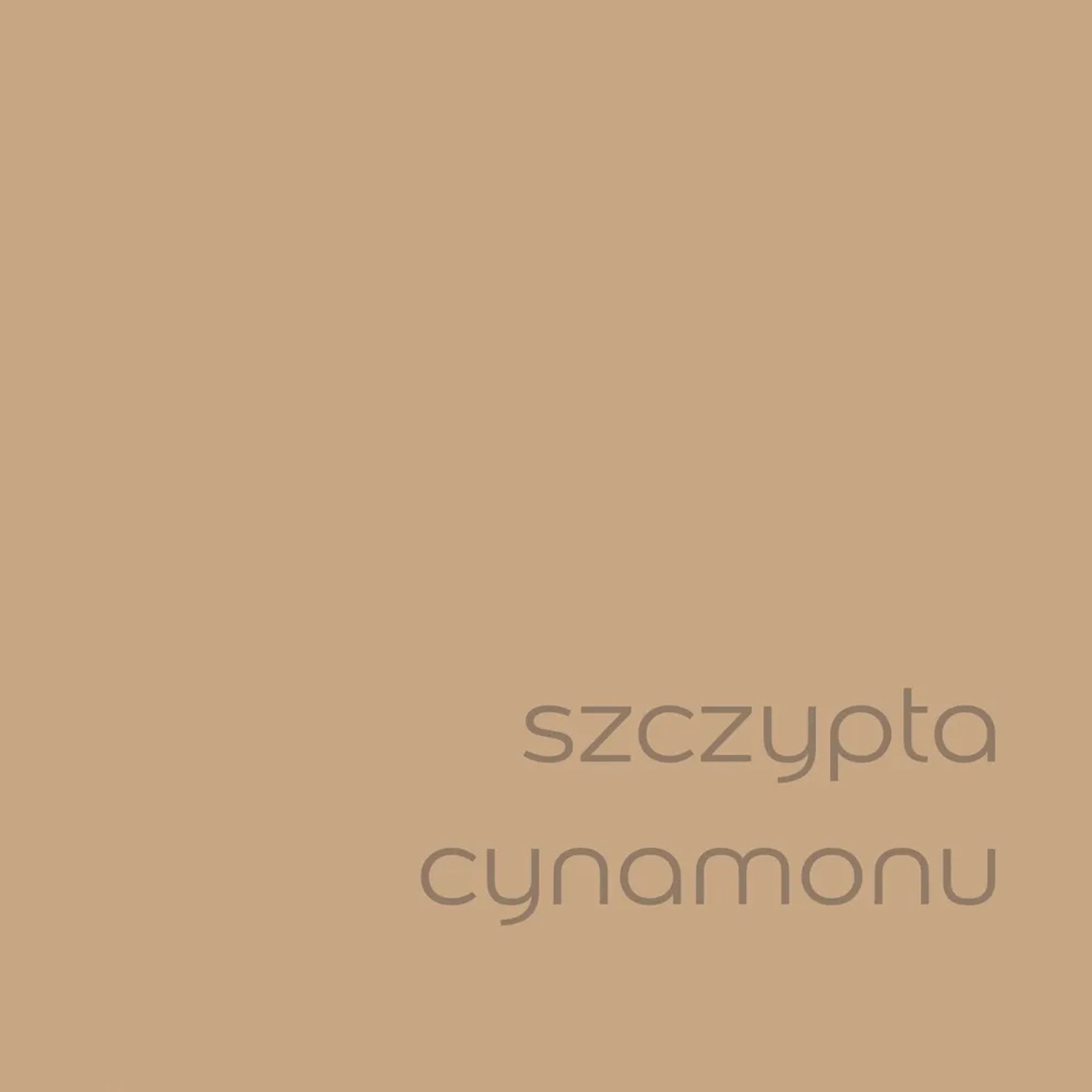 Próbka koloru farby do ścian t.b.t. w kolorze cynamonowego brązu.