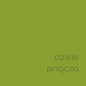 Próbka koloru farby do ścian t.b.t. w zielonym odcieniu "Dzikie pnącza".