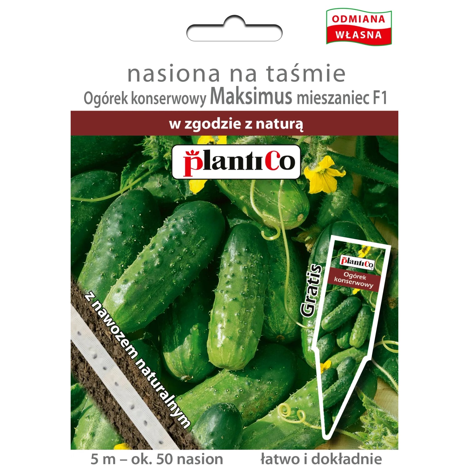 Ogórek gruntowy nasiona na taśmie - 5 m