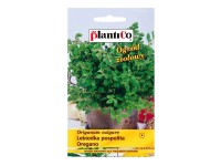Oregano Lebiodka