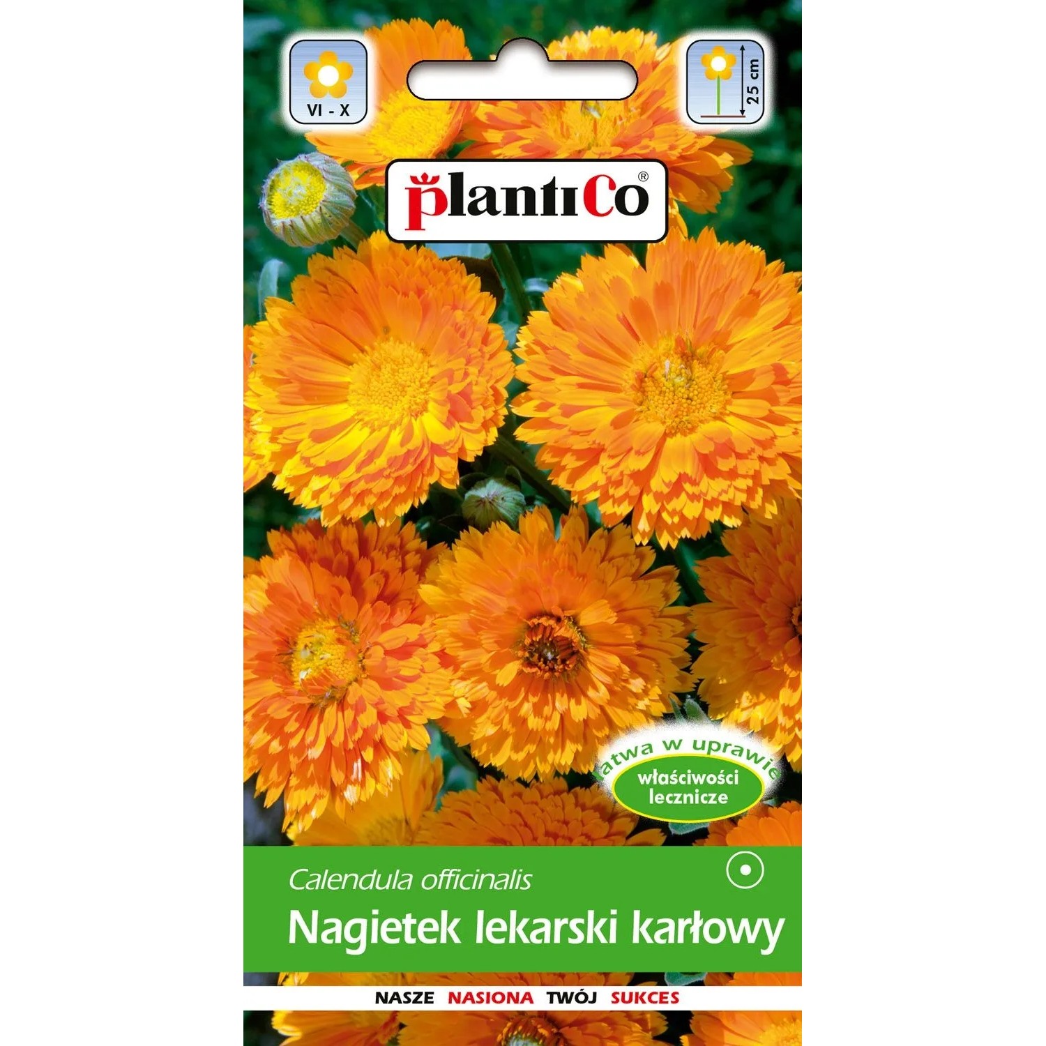 Nagietek lekarski karłowy 2 g