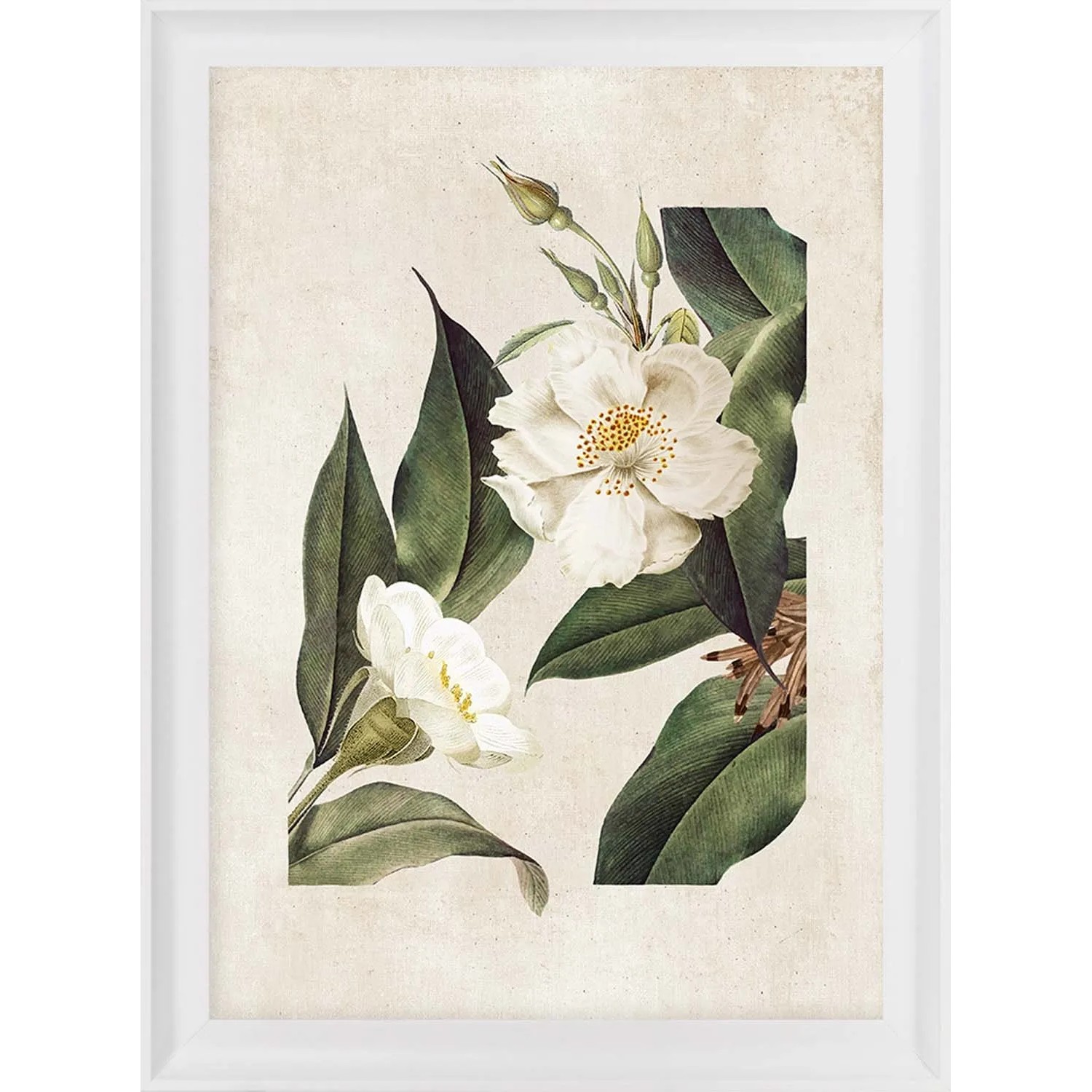 ARS LONGA Obraz FLOWER no.2 58 x 78 cm