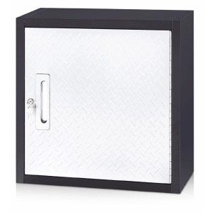 t.b.t. Szafka narzędziowa z drzwiami, szara/srebrna. Idealna do warsztatu i garażu.