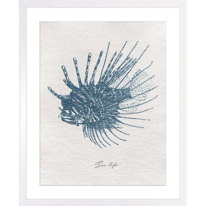 ARS LONGA Obraz RED LIONFISH 43 x 53 cm