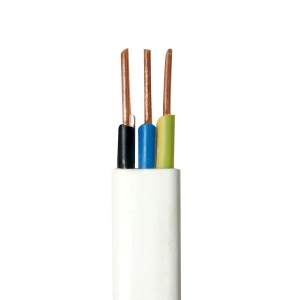 Kabel t.b.t. z trzema żyłami w kolorze czarnym, niebieskim i zielono-żółtym.