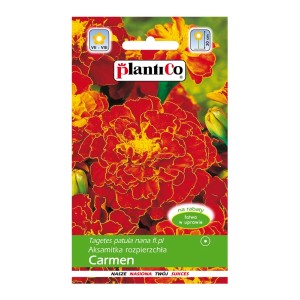Opakowanie nasion Tagetes Carmen: Aksamitka z czerwonymi kwiatami, idealna na rabaty.