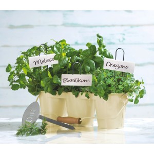 Etykiety do roślin OBI, 5 białych etykiet na zioła, takie jak bazylia, melisa i oregano.