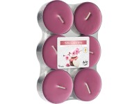 Świeca Tea light zapachowa Maxi ogród SPA