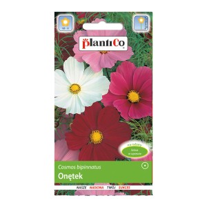 Opakowanie nasion z kolorowymi kosmosami (Cosmos bipinnatus). Idealne na kolorowe rabaty kwiatowe.