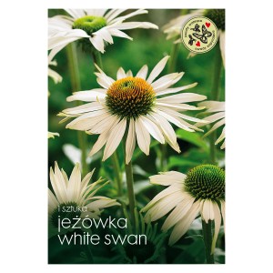 Opakowanie cebulek kwiatowych Echinacea 'White Swan' z białymi kwiatami.