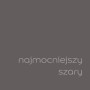 Próbka koloru: Mocny szary do farb ściennych.
