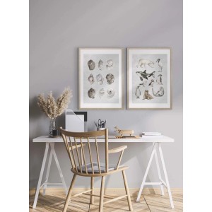 ARS LONGA Obraz OCEAN ANIMALS 53 x 73 cm