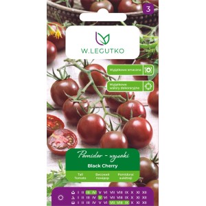 Legutko Pomidor Black Cherry brązowy 0,2g