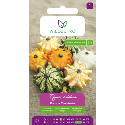 Legutko Dynia ozdobna Korona Cierniowa 1g