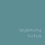Próbka koloru farby do ścian t.b.t. w eleganckim turkusie. Idealna do kolorowych ścian.
