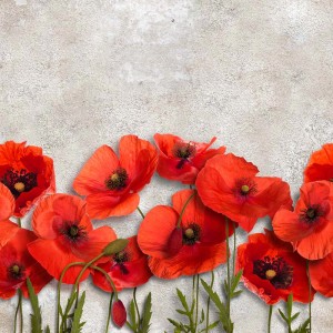 Listwa dekoracyjna z motywem maków, czerwone kwiaty na jasnym tle.