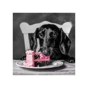 STYLER Obraz Glasspic DACHSHUND GL502 30 x 30 cm
