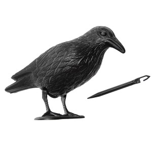 Czarny kruk dekoracyjny do ogrodu ze szpikulcem.