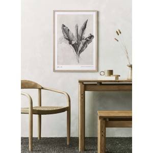 ARS LONGA Obraz BANANA LEAVES 53 x 73 cm