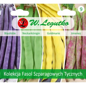 Nasiona warzyw t.b.t.: Różne odmiany fasoli w kolorze fioletowym, zielonym, żółtym i czerwonym.