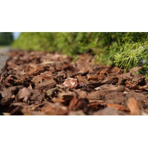 Zbliżenie na brązową korę drzewną używaną jako ściółka w ogrodzie.