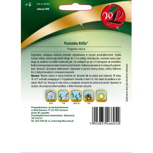 Opakowanie nasion poziomki 'Attila': Aromatyczne, czerwone owoce do grządek i na balkony.