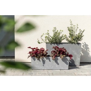 Dwie szare, prostokątne donice t.b.t. z roślinami na tle jasnej ściany.