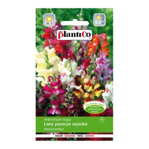 Opakowanie nasion lwiej paszczy 't.b.t.': Kolorowa mieszanka kwiatów na rabaty i do wazonów.