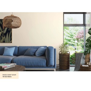 Pokój dzienny z farbą do ścian w jasnym odcieniu. Kategoria: Kolorowe farby do ścian.