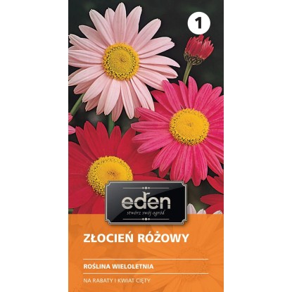 Złocień różowy - 0,5 g