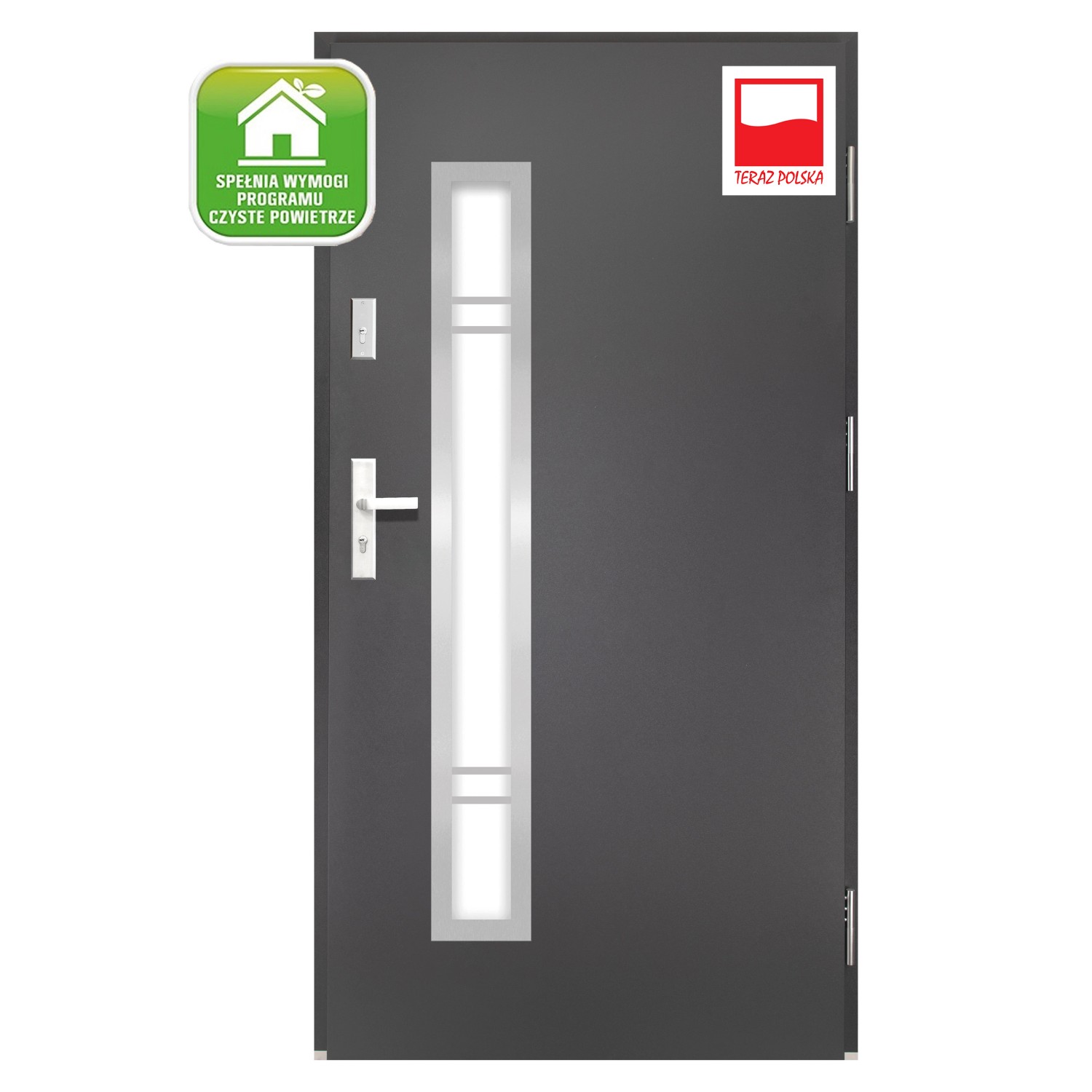 Splendoor Drzwi zewnętrzne Leto Antracyt 90P kupuj w OBI