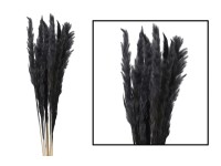 Trawa sztuczna pampasowa Mace 10szt. czarna 65 - 75 cm