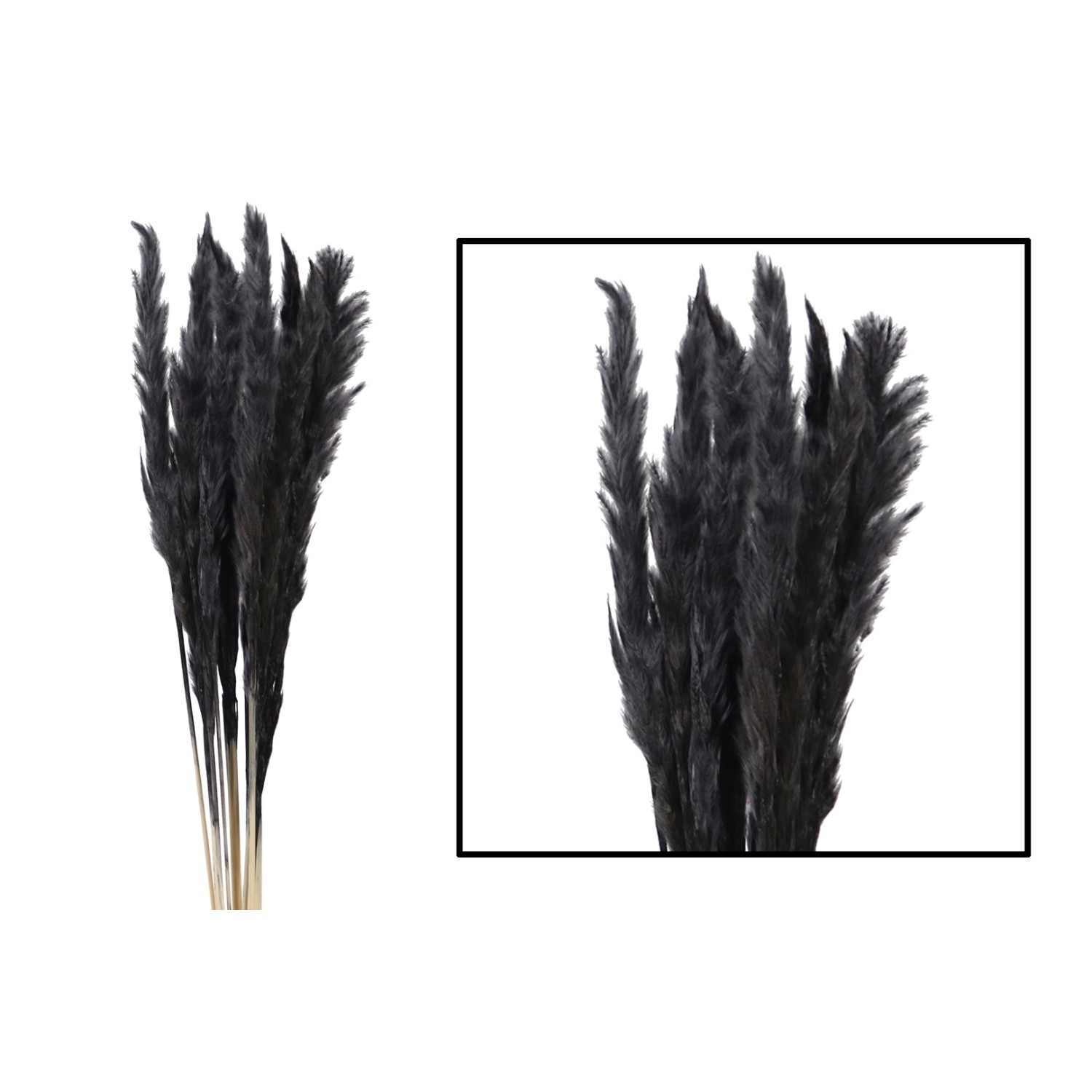 Trawa sztuczna pampasowa Mace 10szt. czarna 65 - 75 cm