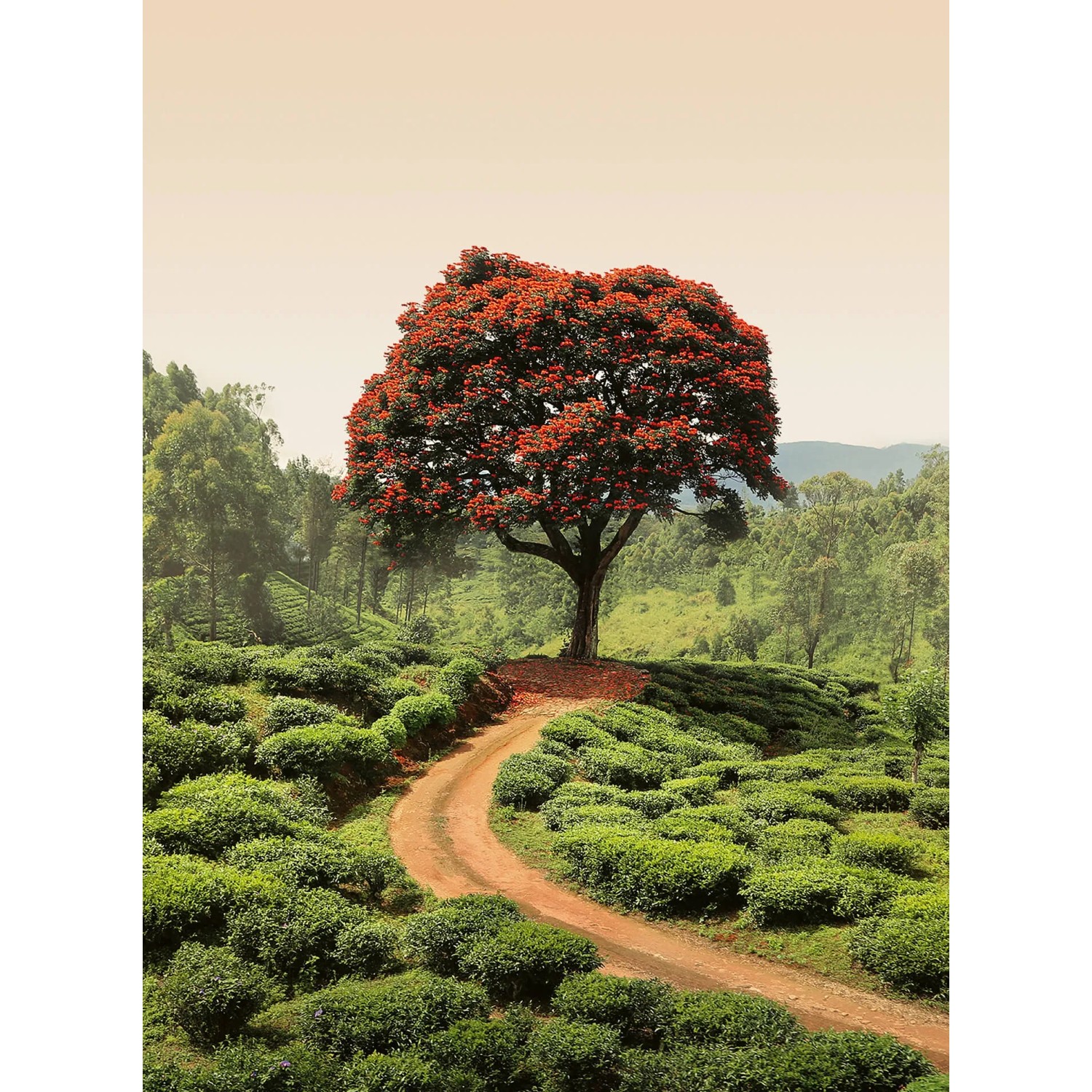 Fototapeta Red Tree and hills 192 x 260 cm