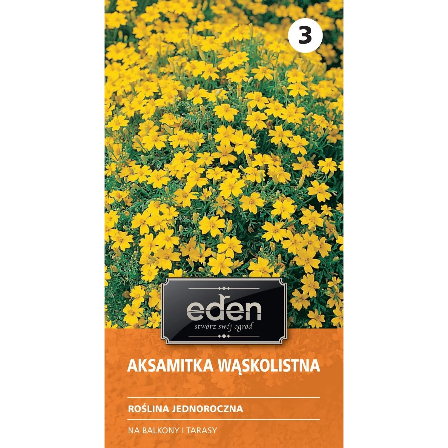 Aksamitka wąskolistna żółta Lulu - 0,5 g
