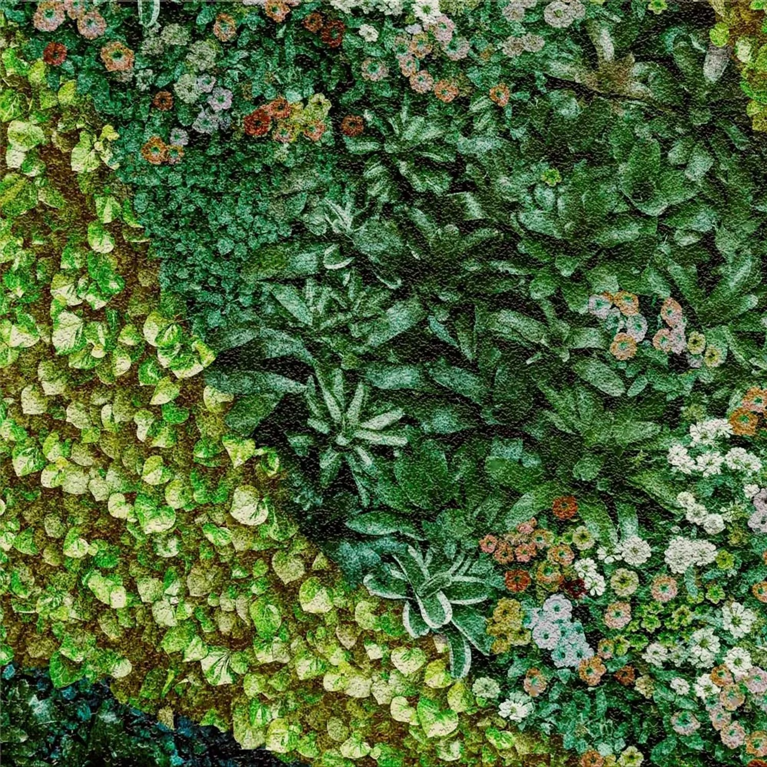 Dekor Gresowy Buxus Trawnik 5/8 60 x 60 cm