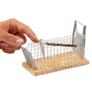 Pułapka koszowa z zapadką na myszy