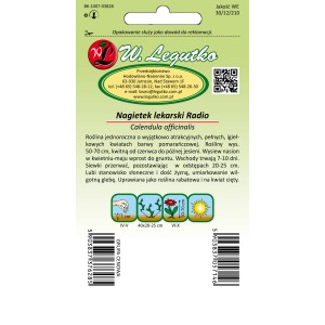 Opakowanie nasion Nagietka lekarskiego 'Radio'. Kwitnący, pomarańczowy Calendula officinalis.