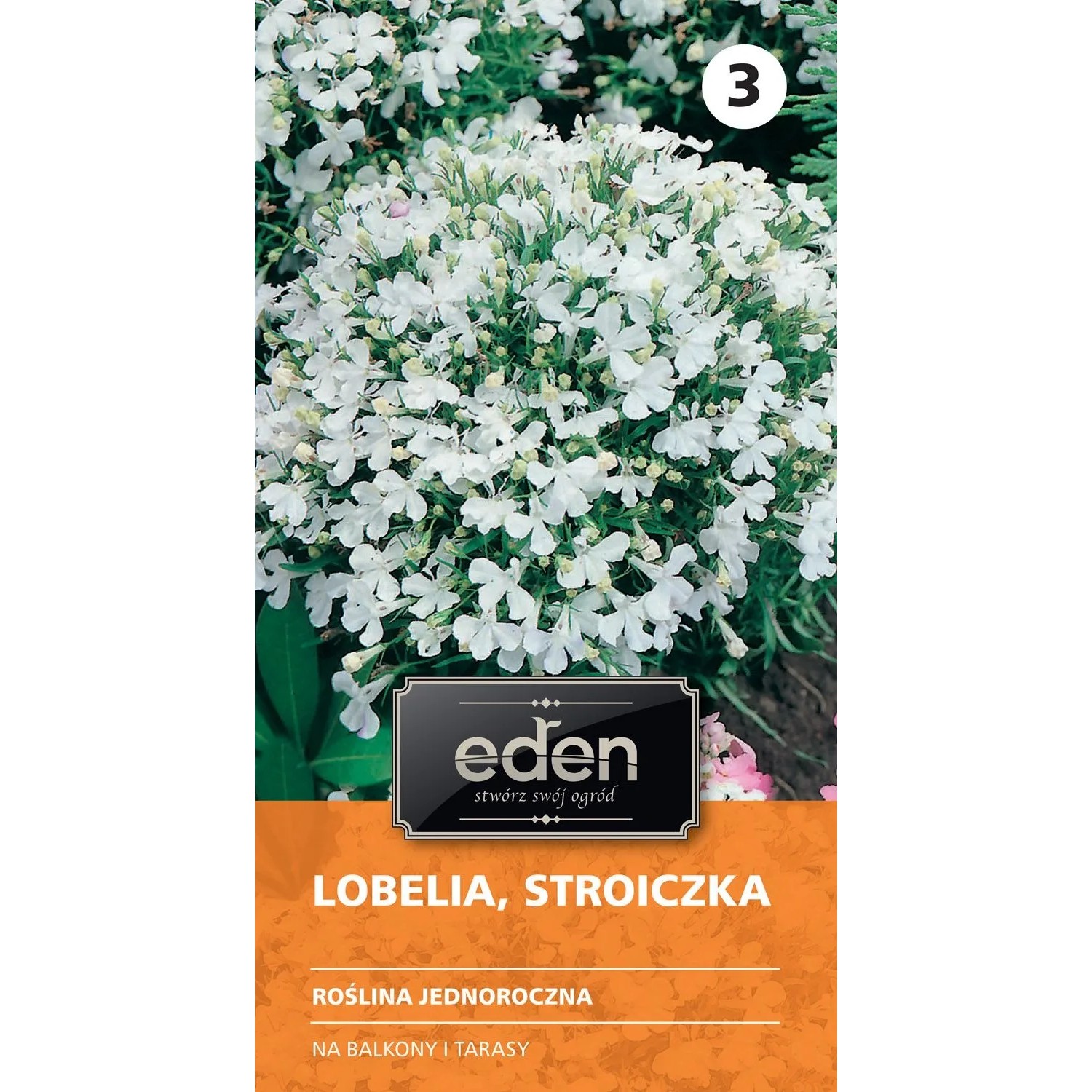 Lobelia biała White Lady - 0,3 g