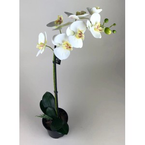 t.b.t. sztuczna roślina z białymi kwiatami w doniczce.