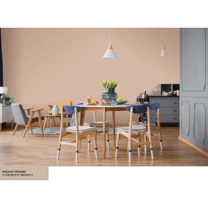 Pokój dzienny z farbą ścienną w delikatnym brązie. Kolorowa farba do ścian wewnętrznych t.b.t.