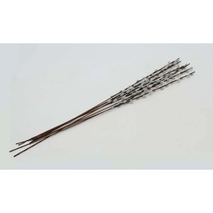 Bukiet gałązek wierzby dla wiosennych dekoracji.