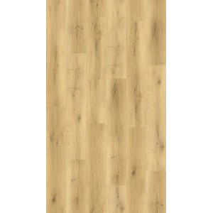 Panel winylowy Dąb Bergen z korkowym podkładem, jasny wygląd drewna.